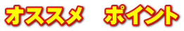 オススメ　ポイント
